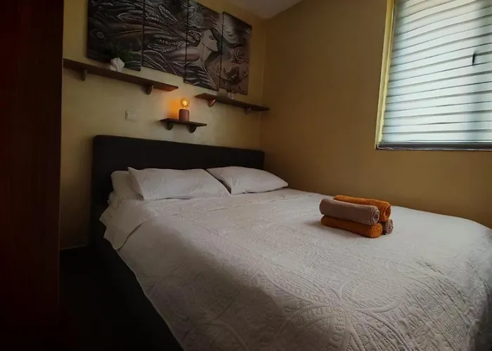 Magic Kop - Kraljevi Cardaci Κοπαόνικ