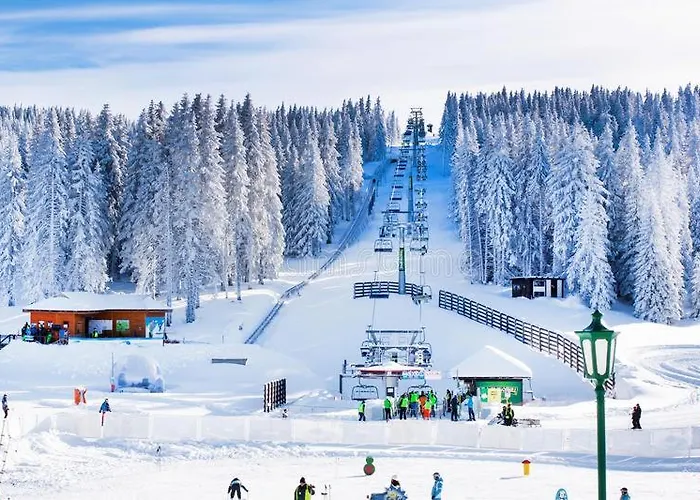 Magic Kop - Kraljevi Cardaci Κοπαόνικ